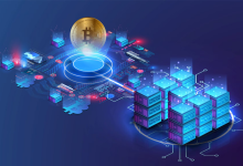 أنواع الشبكات