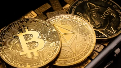 مقدمة في Glassnode